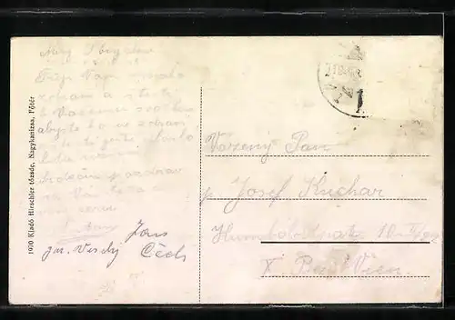 AK Nagykanizsa, Föut