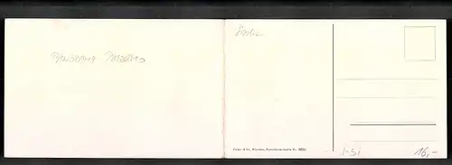 Klapp-AK Palermo, Foro Umberto I. e Monte Pellegrino