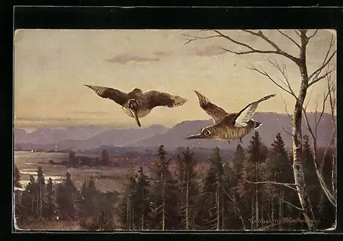 Künstler-AK M. Müller jun.: Zwei fliegende Schnepfen über Wald und See