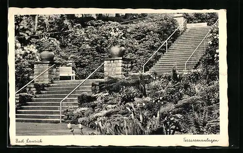 AK Bad Lausick, Terrassenanlagen mit Blumen