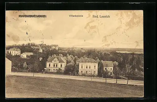 AK Bad Lausick, Villenkolonie mit Strassenpartie
