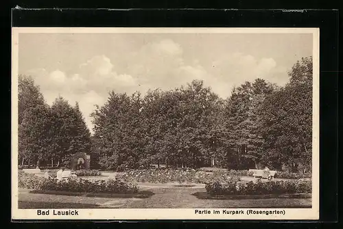 AK Bad Lausick, Partie im Kurpark mit Rosengarten