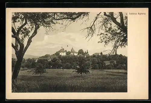 AK Kyburg, Schloss Kyburg aus der Ferne gesehen