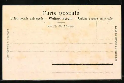 AK Zürich, Tonhalle mit Strasse