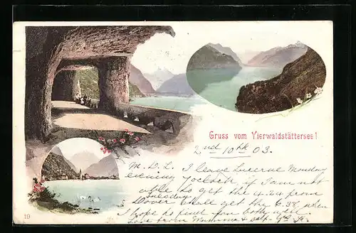 AK Axenstrasse am Vierwaldstättersee, Teilansicht, Uferpartie, Panorama