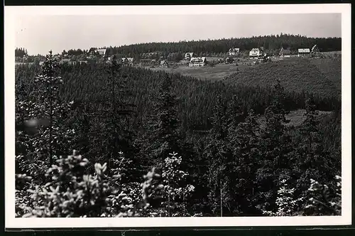 Fotografie Brück & Sohn Meissen, Ansicht Oberbärenburg i. Erzg., Blick auf den Ort mit Wohnhäusern