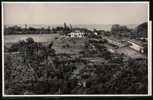 Fotografie Brück & Sohn Meissen, Ansicht Meissen i. Sa., Blick auf das Gasthaus auf der Stadtparkhöhe