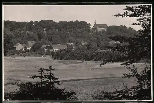 Fotografie Brück & Sohn Meissen, Ansicht Lichtenwalde, Partie aus dem Ort mit Blick zum Schloss