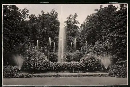 Fotografie Brück & Sohn Meissen, Ansicht Lichtenwalde, Partie an den Wasserkünsten im Schlosspark