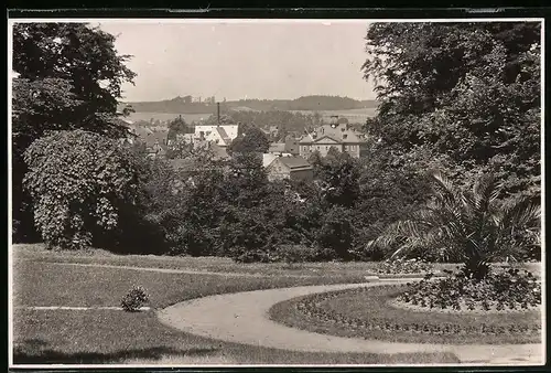 Fotografie Brück & Sohn Meissen, Ansicht Hainichen i. Sa., Partie im Stadtpark mit Blick in die Stadt