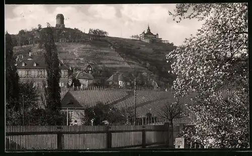 Fotografie Brück & Sohn Meissen, Ansicht Radebeul, Blick auf das Schloss Hoflössnitz und zum Spitzhaus