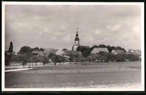 Fotografie Brück & Sohn Meissen, Ansicht Lenz, Blick auf den Ort mit Kirche