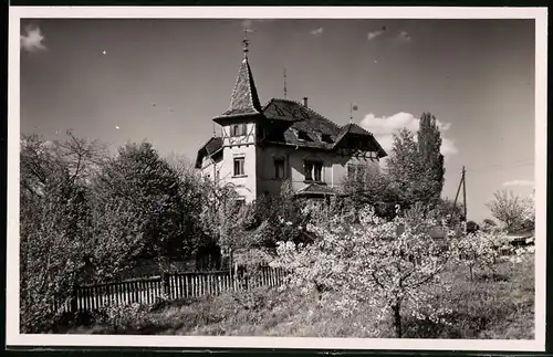 Fotografie Brück & Sohn Meissen, Ansicht Weinböhla, Blick auf das Gasthaus Laubenhöhe im Frühling