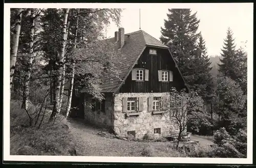 Fotografie Brück & Sohn Meissen, Ansicht Schellerhau i. Erzg., Partie am Haus Abendfrieden