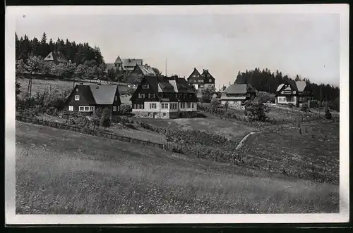 Fotografie Brück & Sohn Meissen, Ansicht Oberbärenburg i. Erzg., Ortspartie mit Wohnhäusern