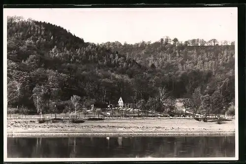 Fotografie Brück & Sohn Meissen, Ansicht Meissen i. Sa., Flusspartie mit Blick nach dem Gasthaus Rehbockschänke