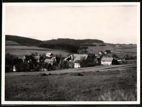 Fotografie Brück & Sohn Meissen, Ansicht Polenz b. Neustadt, Blick auf den Ort mit Wohnhäusern