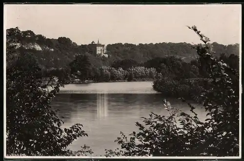 Fotografie Brück & Sohn Meissen, Ansicht Naumburg / Saale, Blick über den Fluss zum Schloss Gosek