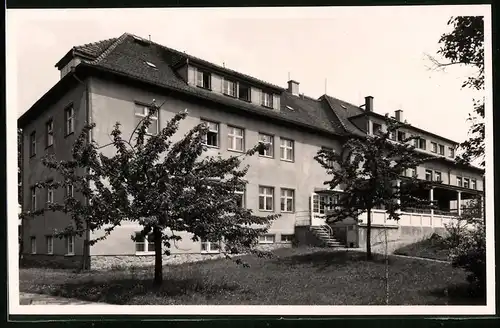 Fotografie Brück & Sohn Meissen, Ansicht Meissen i. Sa., Partie am Entbindungsheim Domprobstberg