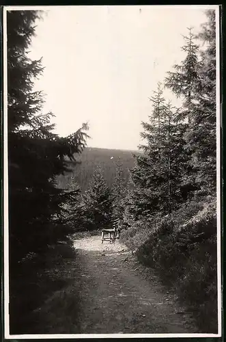 Fotografie Brück & Sohn Meissen, Ansicht Oberbärenburg, Partie am Tirolerweg mit Bank