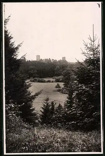 Fotografie Brück & Sohn Meissen, Ansicht Kohren, Blick über die Elsenwiese nach der Burg Kohren