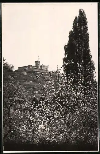 Fotografie Brück & Sohn Meissen, Ansicht Radebeul, Blick zum Berggasthaus Friedensburg