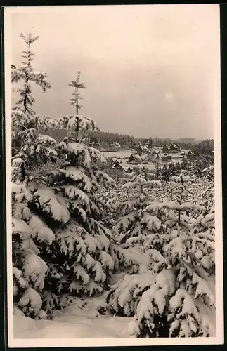 Fotografie Brück & Sohn Meissen, Ansicht Oberbärenburg i.Erzg., Blick aus dem winterlichen Wald auf den Ort
