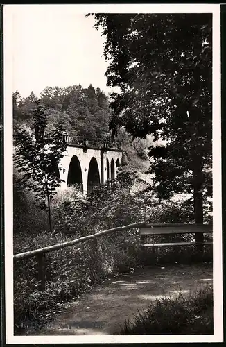 Fotografie Brück & Sohn Meissen, Ansicht Frankenberg i. Sa., Partie an der Brücke im Lützeltal