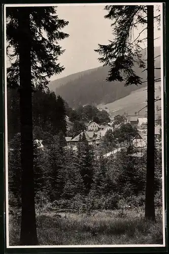 Fotografie Brück & Sohn Meissen, Ansicht Wildenthal i. Erzg., Blick vom Wald ins Tal zum Ort