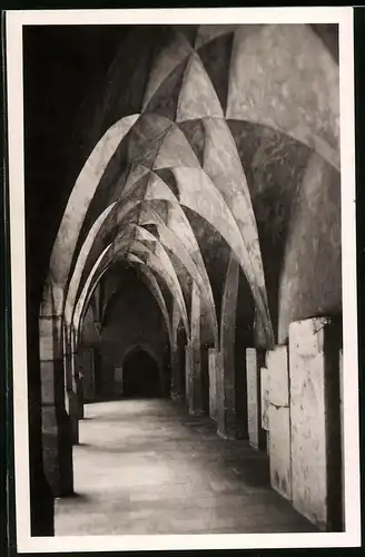 Fotografie Brück & Sohn Meissen, Ansicht Meissen i. Sa., Blick in den Kreuzgang des Doms
