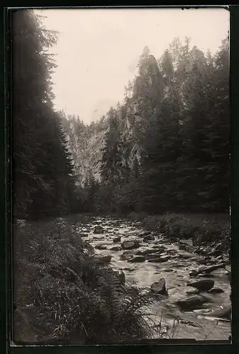Fotografie Brück & Sohn Meissen, Ansicht Marienberg i. Sa., Partie an der Ringmauer im Schwarzwassertal
