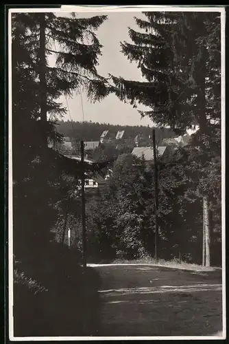 Fotografie Brück & Sohn Meissen, Ansicht Oberbärenburg i.Erzg., Partie aus dem Wald mit Blick auf den Ort