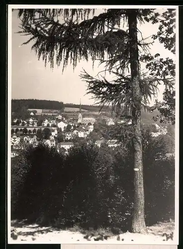 Fotografie Brück & Sohn Meissen, Ansicht Bad Elster, Blick aus dem Wald auf die Stadt