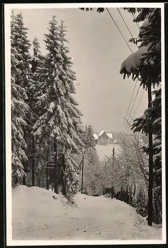 Fotografie Brück & Sohn Meissen, Ansicht Oberbärenburg i. Erzg., winterlich verschneite Strasse mit Blick zum Ort