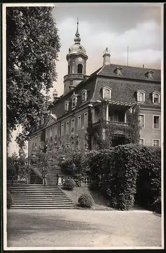 Fotografie Brück & Sohn Meissen, Ansicht Lichtenwalde, Partie am Schloss mit Treppenaufgang