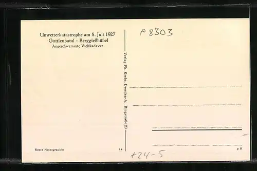 AK Berggiesshübel, Angeschwemmte Tierkadavar nach dem Hochwasser am 8. Juli 1927