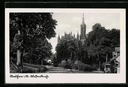 AK Malchow i. M., Blick zur Klosterkirche