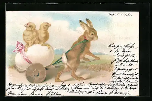 Lithographie Osterhase mit Osterküken in der Kutsche