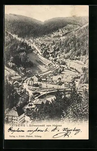 AK Triberg i. Schwarzwald, Stadt und Landschaft aus der Vogelschau