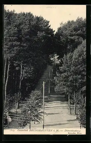 AK Brunshaupten i. M., Damenbadweg von oben