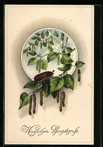 Künstler-AK Maikäfer krabbelt auf Birkenzweig mit Troddeln, Pfingstgruss