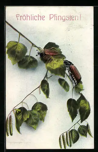 Künstler-AK Zwei Maikäfer auf einem hängenden Birkenzweig, Pfingstgruss
