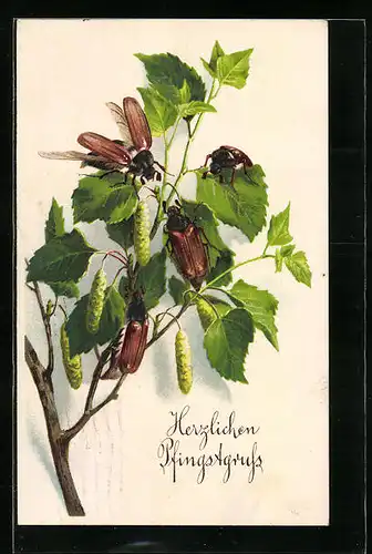 Künstler-AK Maikäfer-Gruppe auf Birkenzweig, Pfingstgruss