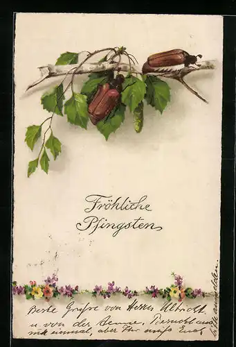 Künstler-AK Zwei Maikäfer am Ast einer Birke, Pfingstgruss