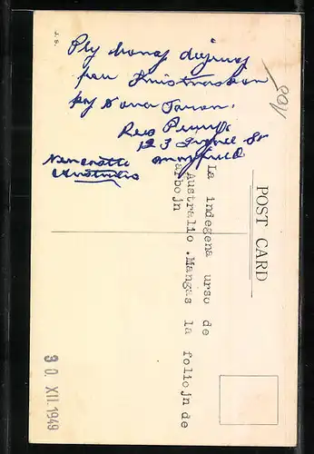 AK Koala-Bär beim Klettern