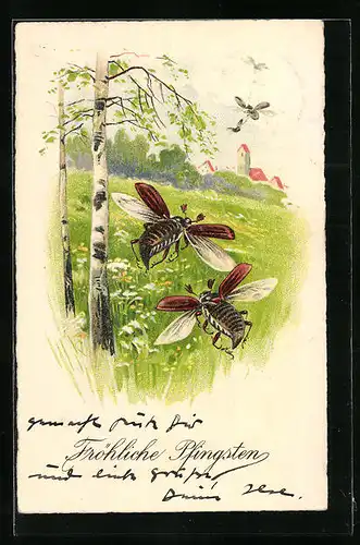 Künstler-AK Fliegende Maikäfer über einer Blumenwiese, Pfingstgruss