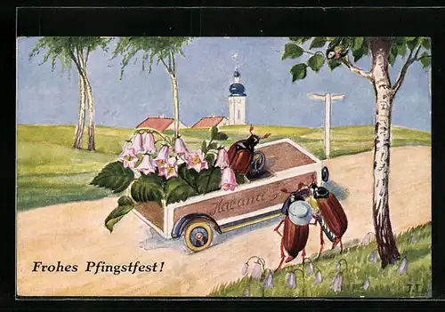 Künstler-AK Maikäferpaar am Strassenrand sieht Maikäfer in Zigarrendosen-Auto vorbeifahren, Pfingstgruss