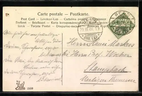 Künstler-AK Dackelmutter mit ihrem Wurf in einem Korb