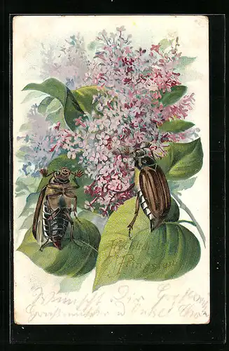 Präge-Lithographie Zwei Maikäfer in einem blühenden Fliederbusch, Pfingstgruss