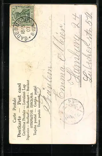 Präge-Lithographie Zwei Maikäfer in einem blühenden Fliederbusch, Pfingstgruss